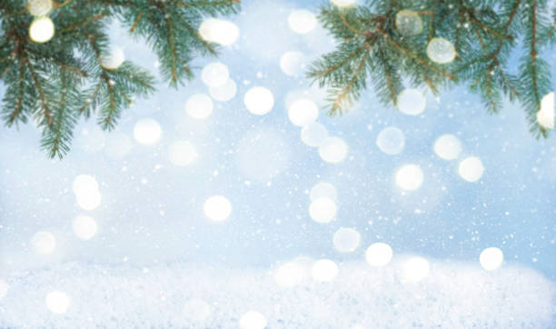 istock Defocused branches of fir on snowy background 1353882768