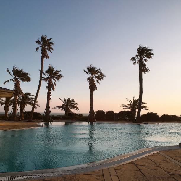 istock The sunset and palm trees 1353885219