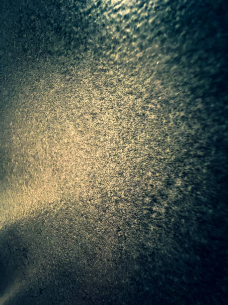 A close-up of a dark stony tile.