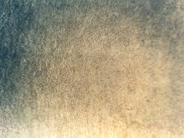 A macro image of a cardboard box with fine fibers.