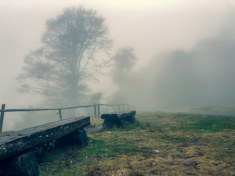 Benches in the Black Forest in Germany at foggy weather.