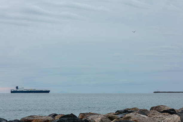 istock Sea in winter with a ferry returning to a port 1353893364