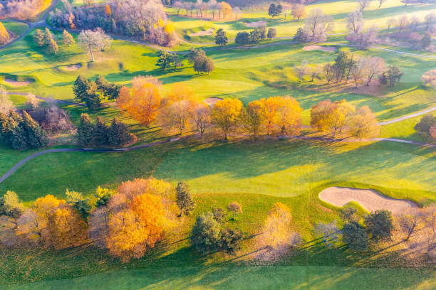 aerial view of residential distratic at rutherford road and islinton ave., detached and duplex house, woodbridge, vaughan, canada - deciduous tree autumn canada house imagens e fotografias de stock