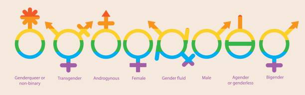 ilustrações, clipart, desenhos animados e ícones de diferentes gêneros isolados, definidos com texto, ilustração de estoque de vetor plano com gênero como símbolo lgbtq +, transgênero, pessoa não binária, agender, androgyne, genderqueer - trans