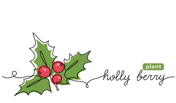 holly beere vektor handgezeichnete skizze, farbillustration für weihnachten. eine durchgehende linienzeichnung, hintergrund mit schriftzug stechpalmenbeere - christmas holly mistletoe symbol stock-grafiken, -clipart, -cartoons und -symbole