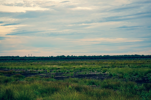 Toned Sky - Light Blue Aquamarine Above Countryside Rural Field Landscape With Young Green Wheat Sprouts In Spring Springtime Summer Cloudy Day. Agricultural Field. Young Wheat Shoots 4K , .