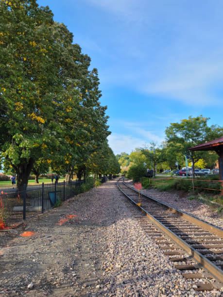 istock Autumn trees and railroad tracks 1353907403