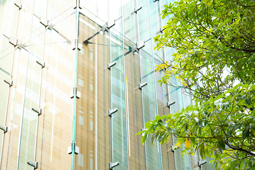 Detail of a modern glass building