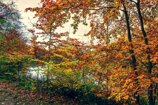 istock A beautiful lake in Germany, also called 