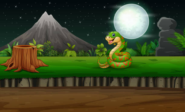 ilustrações de stock, clip art, desenhos animados e ícones de cartoon a green snake at night illustration - rainforest tropical rainforest forest moonlight