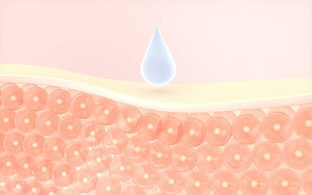 istock Skin cells absorb the serum, 3d rendering. 1353913029