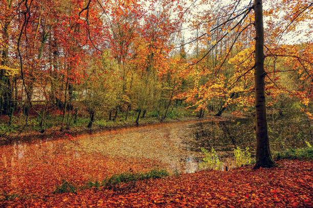 A beautiful lake in Germany, also called \