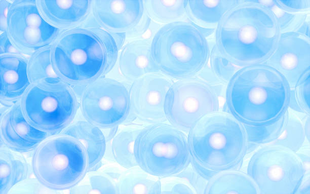 клеточная структура, биологическая концепция, 3d рендеринг. - microscopic animal стоковые фото и изображения