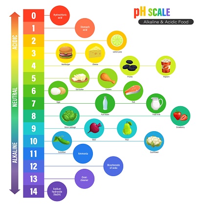 PH scale chart, alkaline and acidic nutrition measure meter, vector chemistry science. PH indicators for acid and alkaline or neutral balance and chemical solutions values in food nutrition