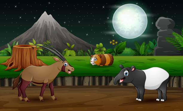 ilustrações de stock, clip art, desenhos animados e ícones de cartoon wild animals playing in the night landscape - rainforest tropical rainforest forest moonlight