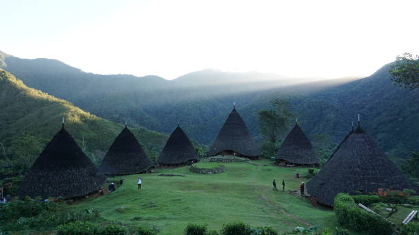 wae rebo, traditional village in manggarai, east nusa tenggara, indonesia - nusa tenggara timur potret stok, foto, & gambar bebas royalti