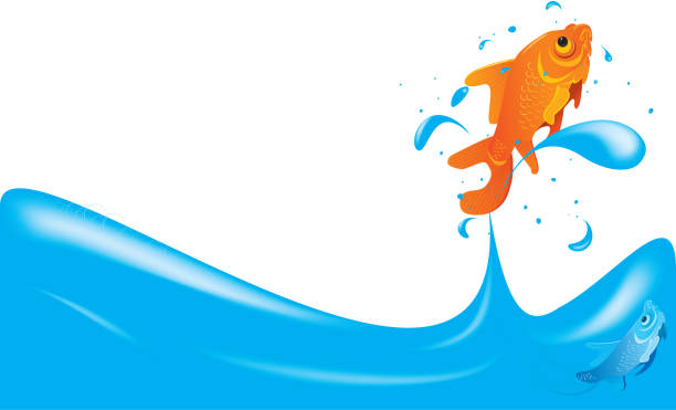 Freedom, Goldfish jumping out of water, copy space vector art illustration