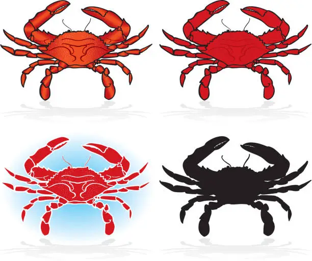 Vector illustration of Crabs, Design Elements Detailed and Silhouette