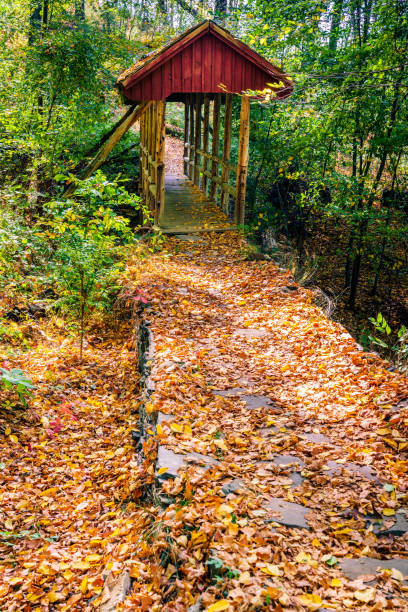 istock Footbridge and hiking trail 1353914674