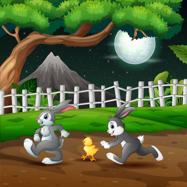 ilustrações de stock, clip art, desenhos animados e ícones de cartoon rabbits and chick playing at night landscape - rainforest tropical rainforest forest moonlight