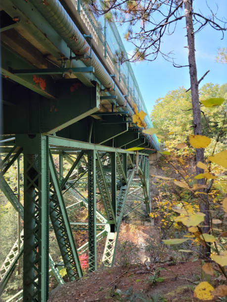 istock Hiking by the bridge 1353916561