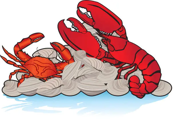 Vector illustration of Lobster, Crab and Clams