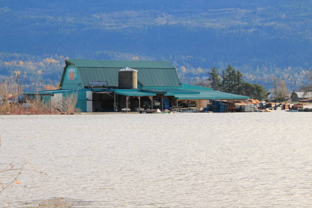 Flooded Farm Building , Abbotsford BC Canada A farm building on # 3 road in Abbotsford BC , is surrounded by flood waters, Taken Nov 17 2021 abbotsford canada stock pictures, royalty-free photos & images