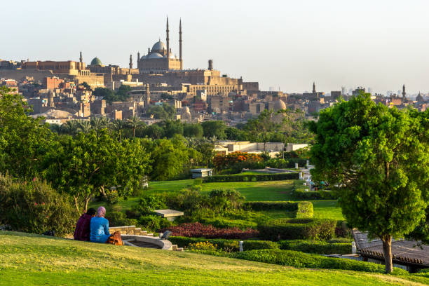 vue panoramique de la ville du caire depuis les jardins du parc al-azhar, en arrière-plan, la grande mosquée de muhammad ali pacha - al azhar photos et images de collection