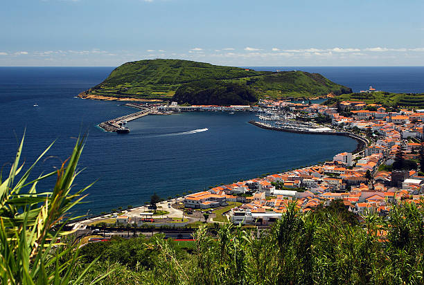 istock Port of Horta 135392947