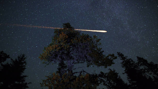 milchstraße und sternschnuppen über den baumwipfeln - meteor stock-fotos und bilder