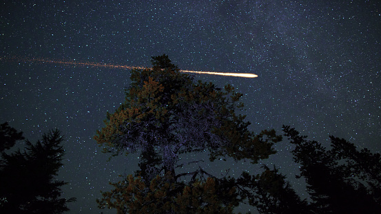 Night sky and shooting stars above the treetops