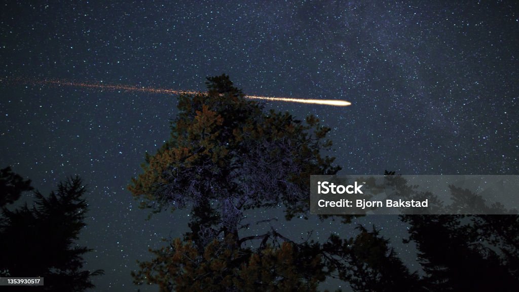 Milky Way and Shooting Stars Above the Treetops Night sky and shooting stars above the treetops Meteorite Stock Photo