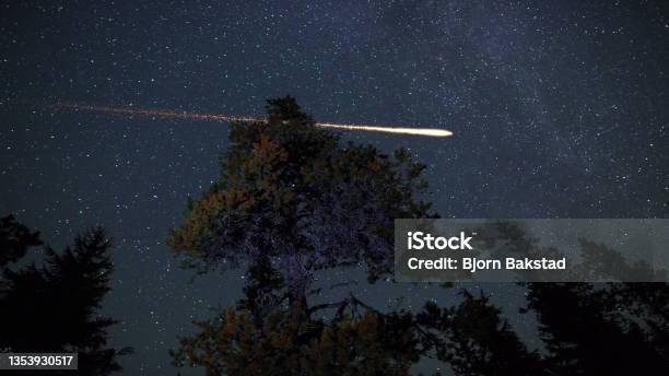 Milky Way And Shooting Stars Above The Treetops Stock Photo - Download Image Now - Meteorite, Meteor, Star Trail
