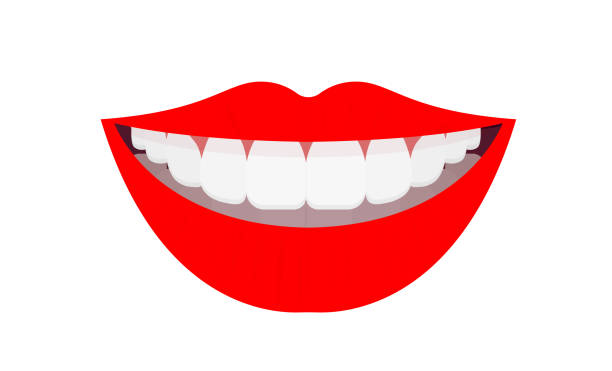 istock Female lip vector icon. Cartoon vector icon isolated on white background female lip. 1353935865