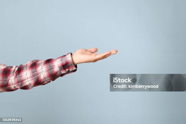 Hand In Blue Stock Photo - Download Image Now - Men, Palm of Hand, Plaid