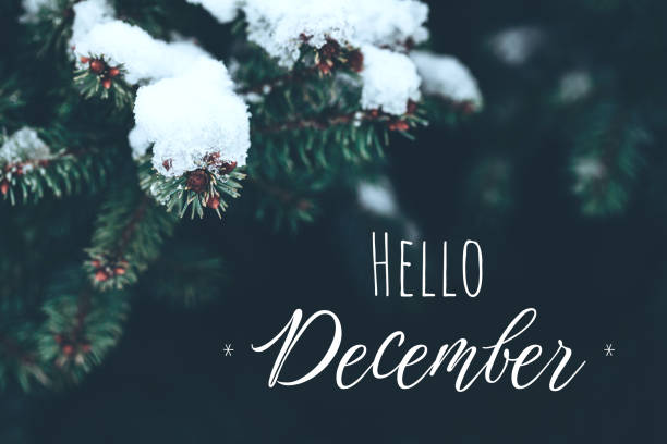 istock closeup of snowed pine branches with lettering Hello December 1353944272
