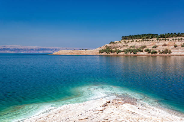 vista de la costa del mar muerto - dead sea fotografías e imágenes de stock