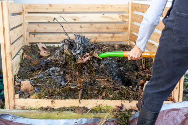 A gardener wearing plastic boots and overalls is turning a compost pile using a shovel or fork. the worker transfers partially composted material from heap onto tarp for aeration.