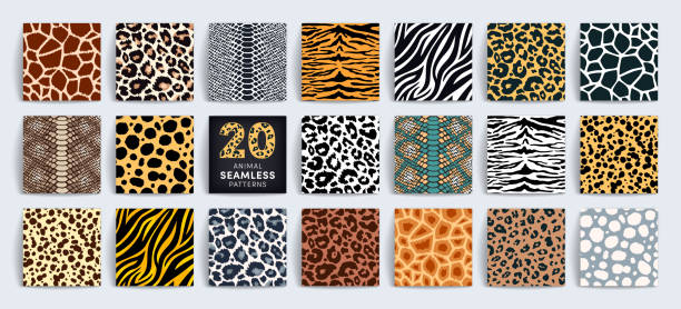 ilustraciones, imágenes clip art, dibujos animados e iconos de stock de colección de patrones sin costuras de animales salvajes de safari. vector leopardo, guepardo, tigre, jirafa, cebra, conjunto de textura de piel de serpiente para diseño de estampado de moda, tela, textil, papel de envolver, fondo, papel tapiz - animal hair illustrations