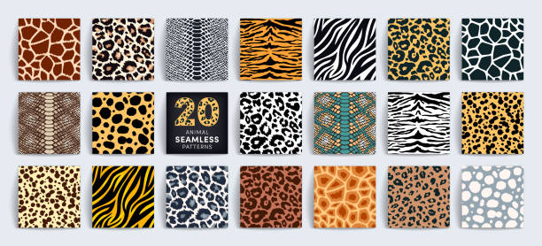 ilustrações, clipart, desenhos animados e ícones de safári selvagem coleta de padrão perfeito. leopardo vetor, chita, tigre, girafa, zebra, textura de pele de cobra definida para design de impressão de moda, tecido, têxtil, papel de embrulho, fundo, papel de parede - hairy