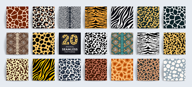 istock Wild safari animal seamless pattern collection. Vector leopard, cheetah, tiger, giraffe, zebra, snake skin texture set for fashion print design, fabric, textile, wrapping paper, background, wallpaper 1353951116