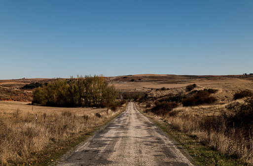 Landscape of a country road in autumn against sky. Shot in Castilla y Leon, Spain
