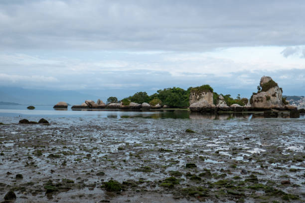 istock low tide near the beach 1353959987