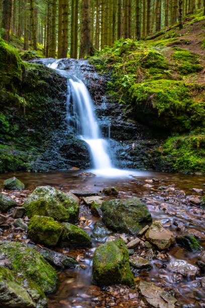 istock Waterfall in the autumn forest 1353960034