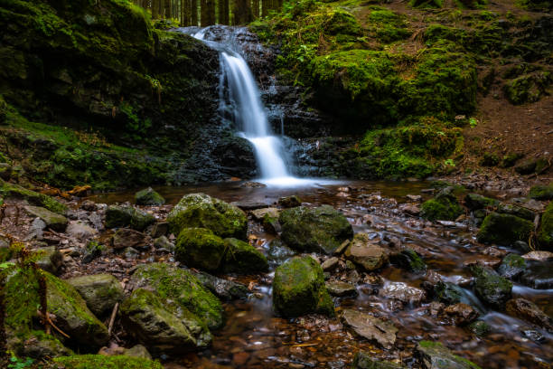 istock Waterfall in the autumn forest 1353960064