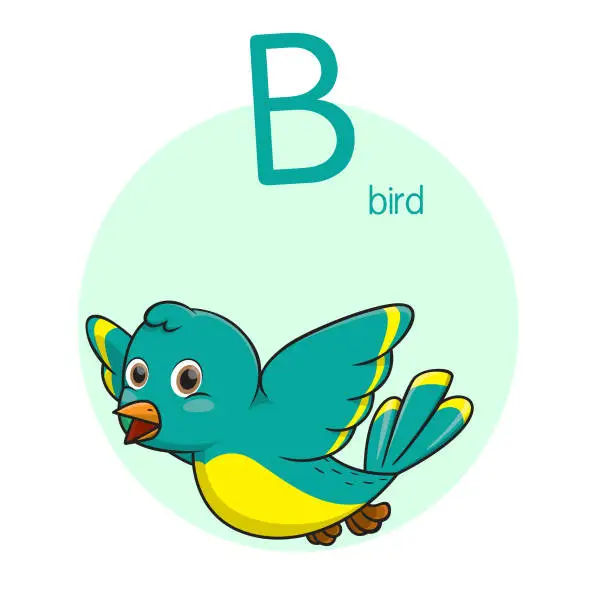 Vector illustration of Vector illustration of Bird  with alphabet letter B Upper case or capital letter for children learning practice ABC