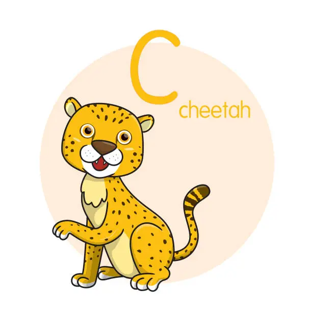 Vector illustration of Vector illustration of Cheetah with alphabet letter C Upper case or capital letter for children learning practice ABC
