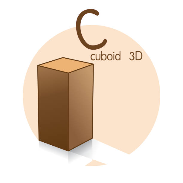 illustrazioni stock, clip art, cartoni animati e icone di tendenza di illustrazione vettoriale di cuboid con lettera dell'alfabeto c lettera maiuscola o maiuscola per bambini che imparano la pratica abc - cuboid