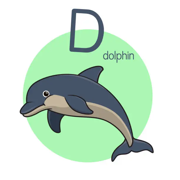 Vector illustration of Vector illustration of Dolphin with alphabet letter D Upper case or capital letter for children learning practice ABC