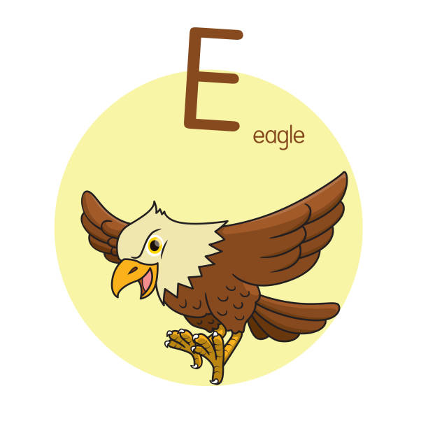 Vector Illustration Of Eagle With Alphabet Letter E Upper Case Or Capital  Letter For Children Learning Practice Abc Stock Illustration - Download  Image Now - iStock